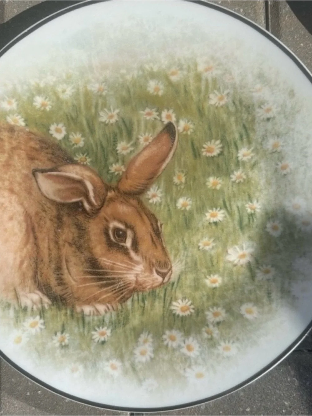 Pottery Barn Easter Rabbit Dinner Plates Set of Four Cottagecore Shabby chic